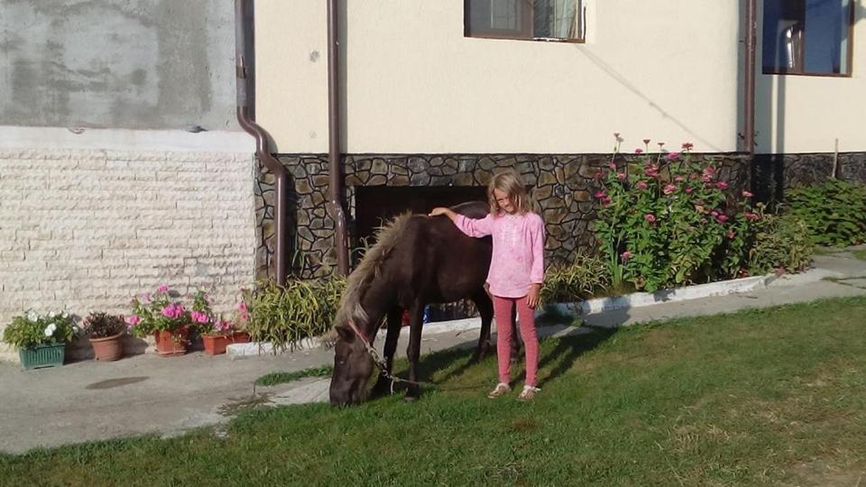 Pensiunea Adeluta Călimăneşti エクステリア 写真