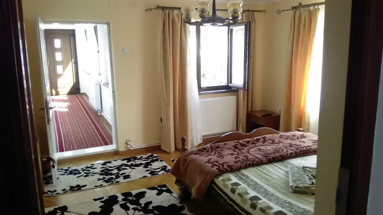 Pensiunea Adeluta Călimăneşti エクステリア 写真
