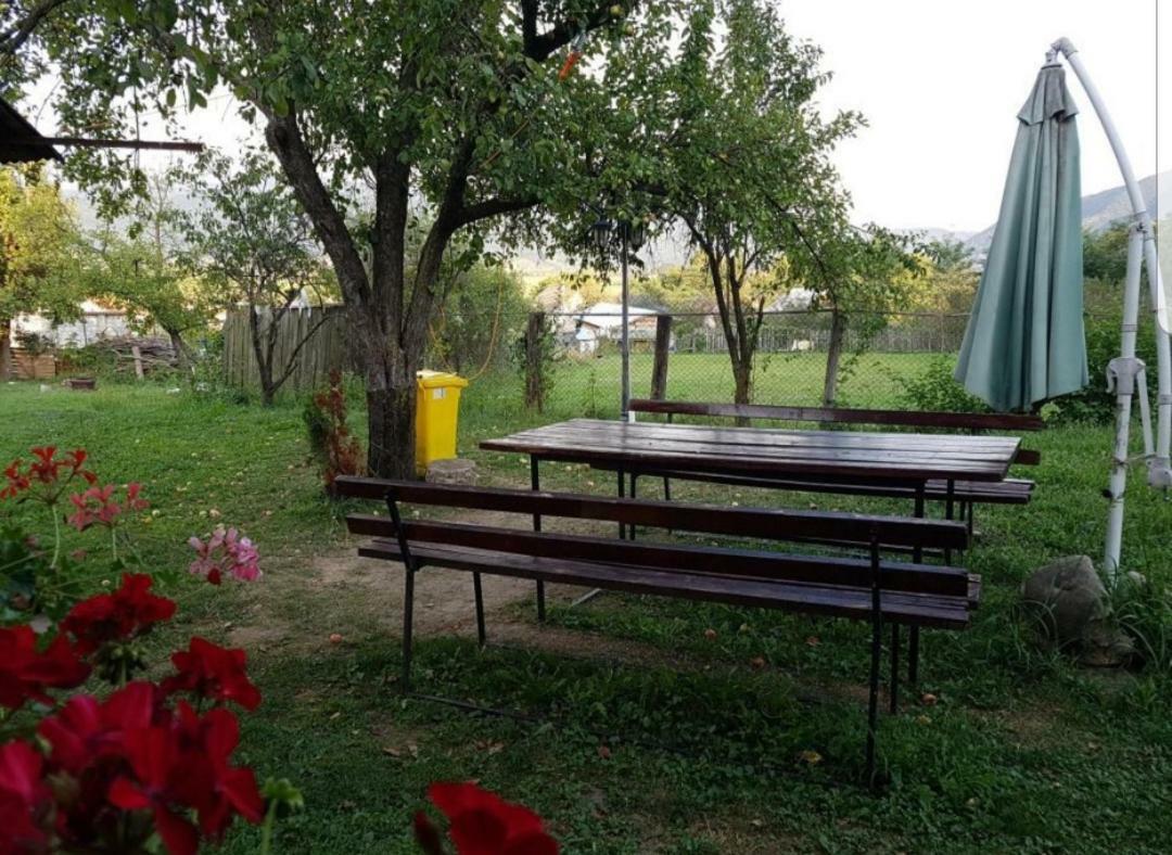Pensiunea Adeluta Călimăneşti エクステリア 写真