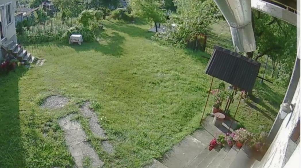 Pensiunea Adeluta Călimăneşti エクステリア 写真